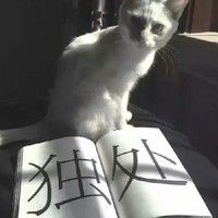 致自己