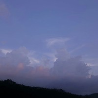 艺氏家族