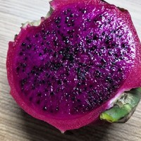 什么都不想做