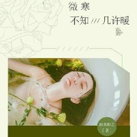 甜蜜娛樂圈文