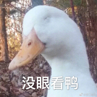 吐槽玛丽苏组织
