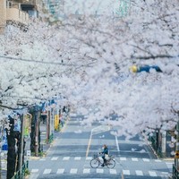 造夢者