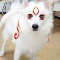 路飛索隆等等