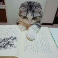 独家原创谢绝转载