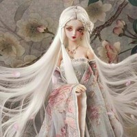 我自定的女主