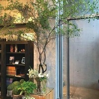 投票定劇情