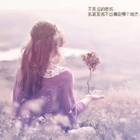 白柒莺