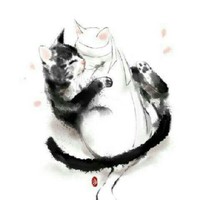 每周六或周日八点更新