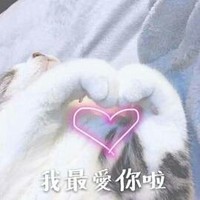 吸猫