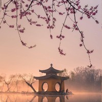冻柠茶
