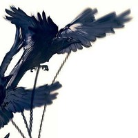 阴阳魔道