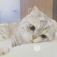 超凶哦