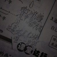 珠珠