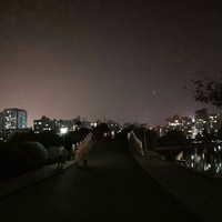 辞归年