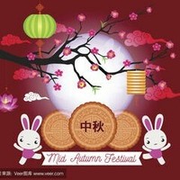 精靈夢(mèng)葉蘿莉小花仙