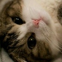 萌奶源