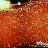 四叶草的心声