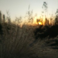 回忆和现实的交错