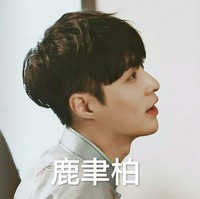 文獻(xiàn)鹿聿柏