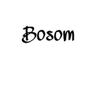 Bosom女团