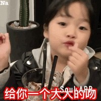 每个女主也是你