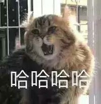 螃蟹的小伙伴