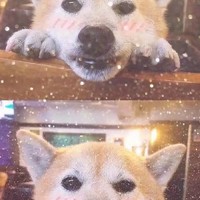 萌娃奶媽