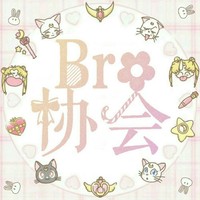 Bro协会