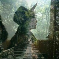 黄明昊的小宝贝
