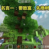 记忆移植
