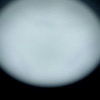 熱血戰(zhàn)斗加些許言情