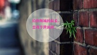 為你寫的我們故事