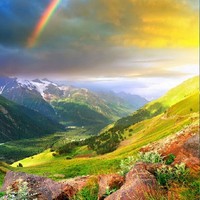 世界太过精彩
