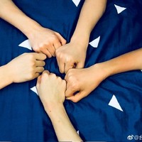 崽崽们