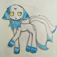 关于猫的小故事