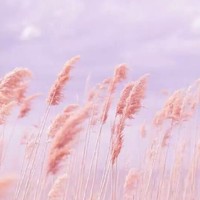 推薦壁紙