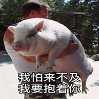 沙雕情侶日常記