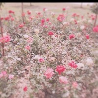 相逢即是緣人生筆記