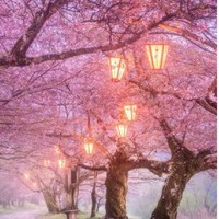 仙侠古风言情小说