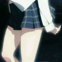 鹿籽葵