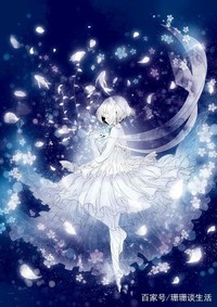 葉羅麗精靈夢12星座