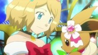 莎莉娜芳缘之旅