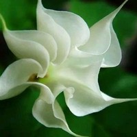 只有一部分的小故事