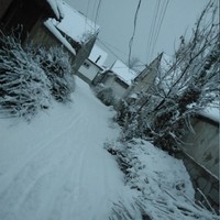 重生種田