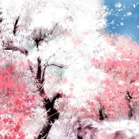 重要人物的亲人