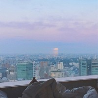 文献沈烟