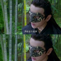 苏染染追夫记