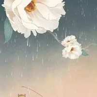 图片搬运工