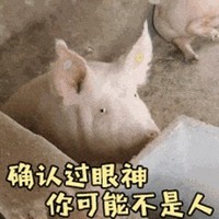 文章太差