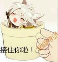 大爱陈思思
